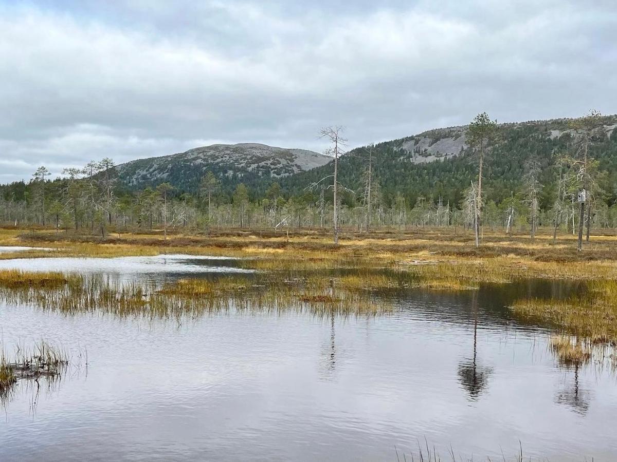 Pyhae Saukonpiilo Villa Pelkosenniemi Eksteriør billede